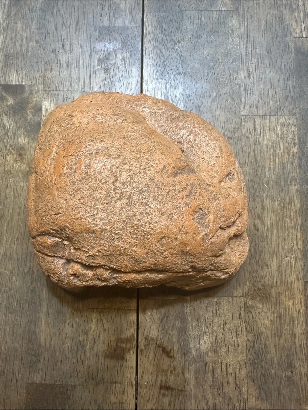 Zilla Reptile Rock Hide
